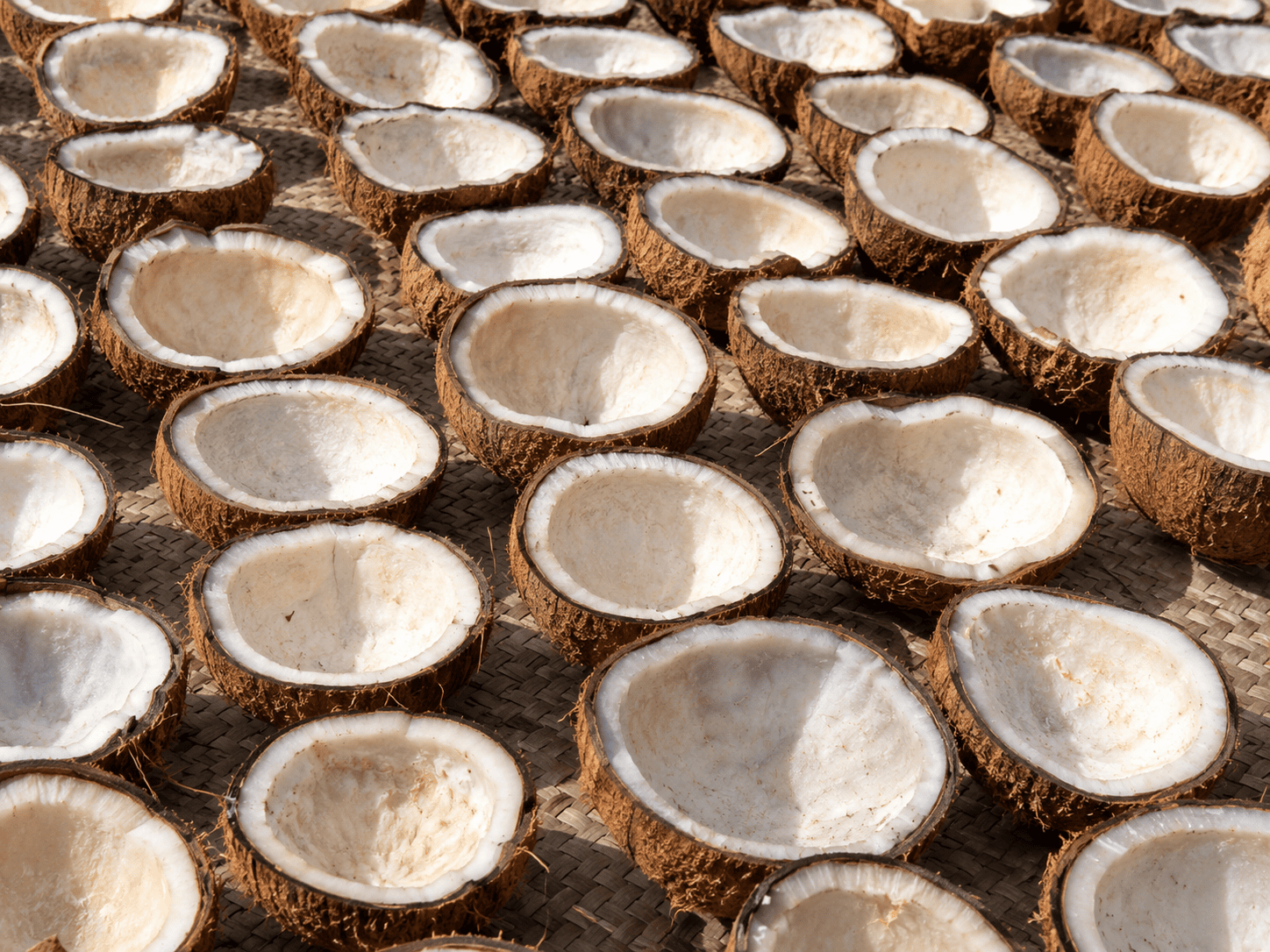 Copra drying in the sun